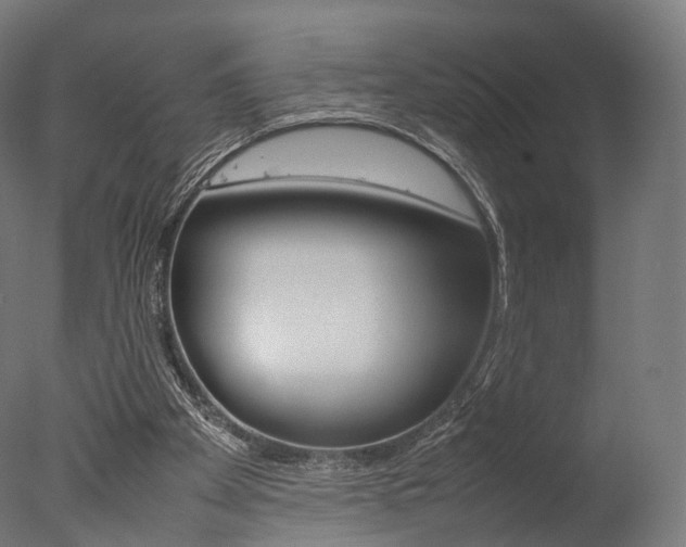 X0000077330105200610200925