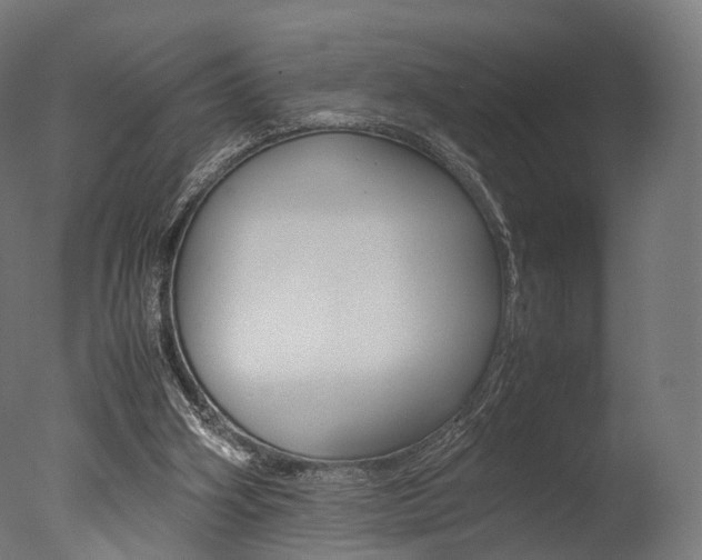 X0000077330106200610200925