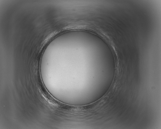 X0000077330107200610200925
