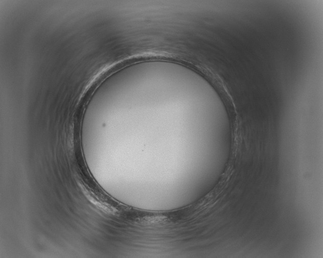 X0000077330108200610200925