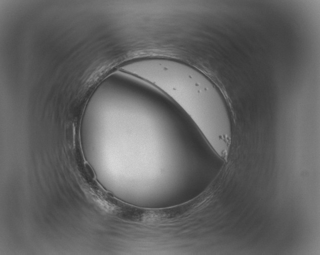 X0000077330109200610200925
