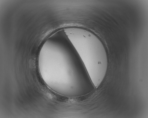 X0000077330111200610200925