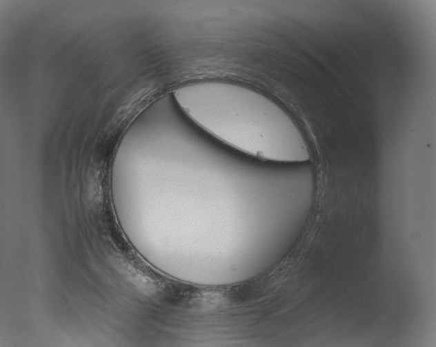 X0000077330114200610200925