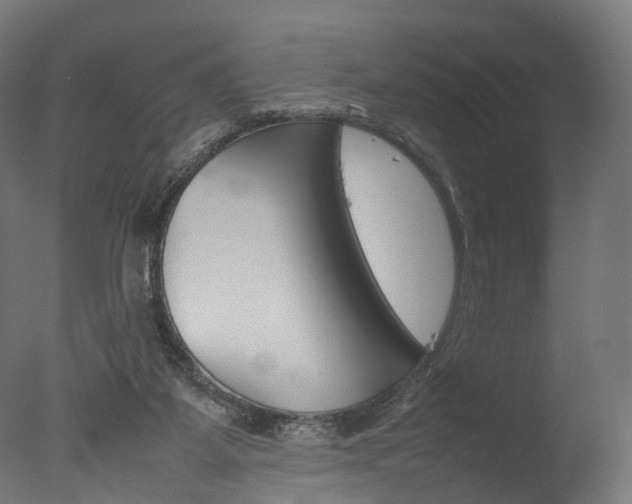 X0000077330115200610200925