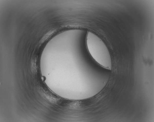 X0000077330116200610200925