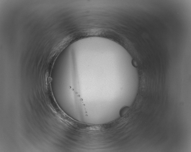 X0000077330118200610200925