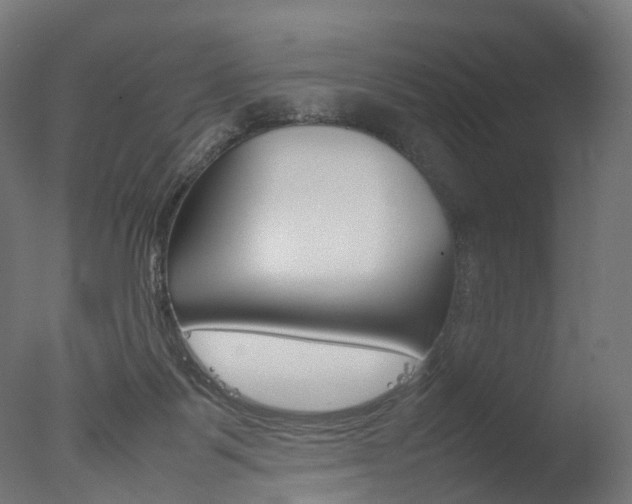 X0000077330123200610200925