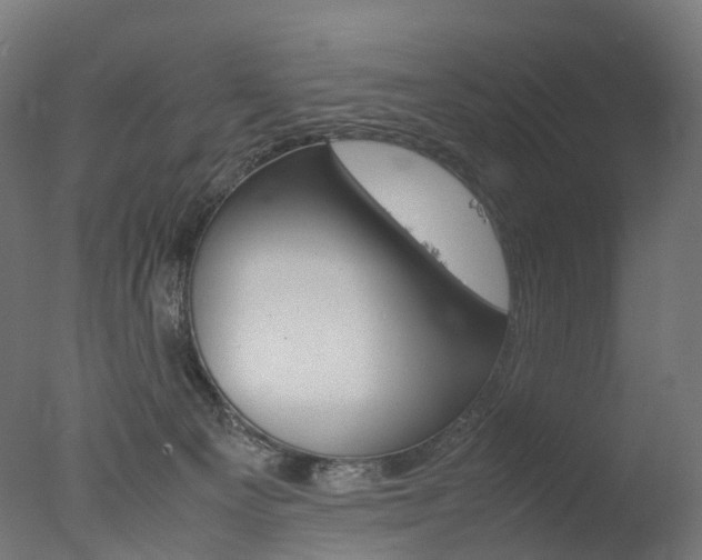 X0000077330129200610200925