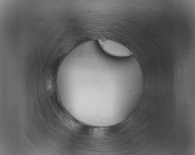 X0000077330134200610200924