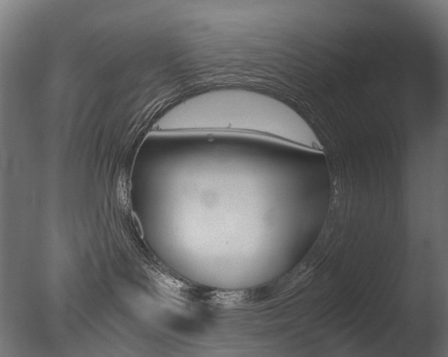 X0000077330143200610200924