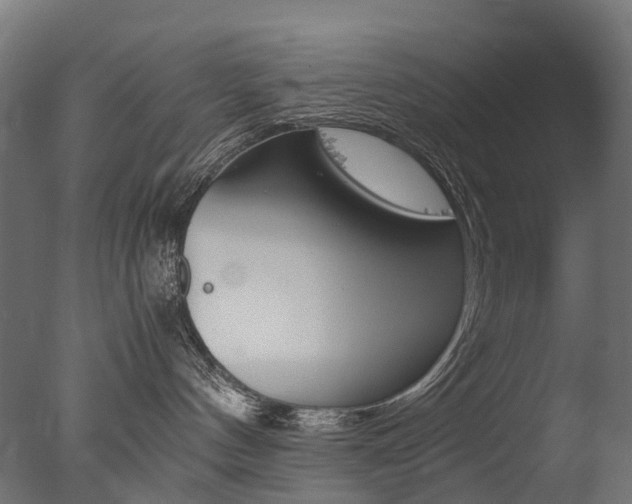 X0000077330144200610200924