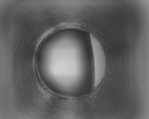 X0000077330148200610200924