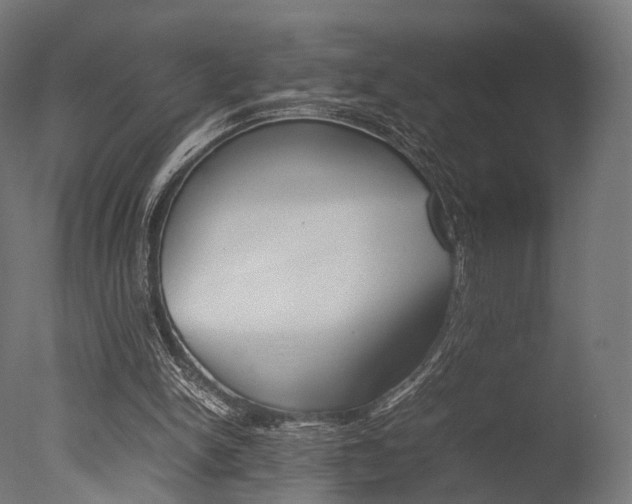 X0000077330150200610200924