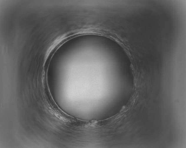 X0000077330152200610200924