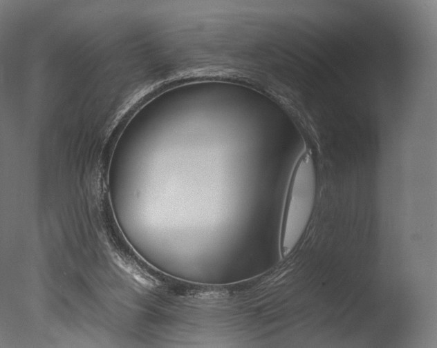 X0000077330156200610200924