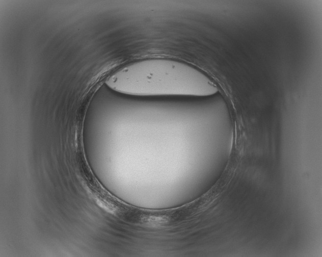 X0000077330157200610200924