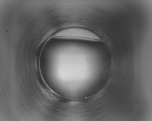 X0000077330158200610200924