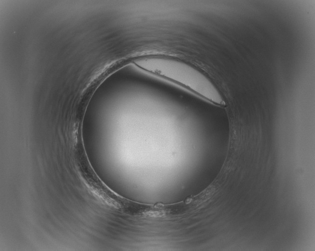 X0000077330160200610200924