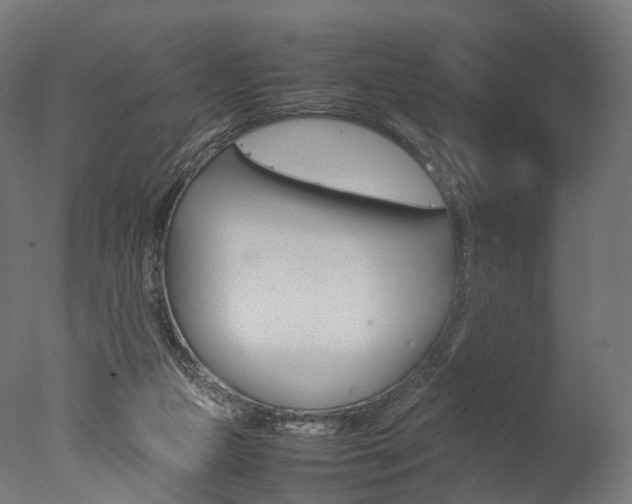 X0000077330161200610200924