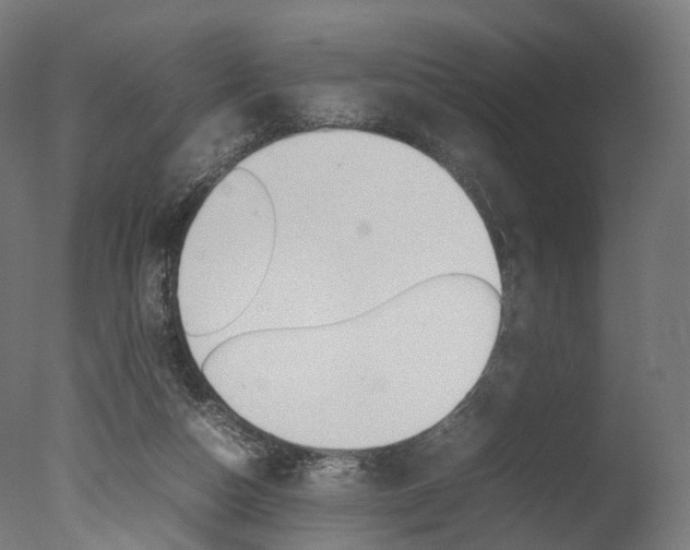 X0000077330162200610200924