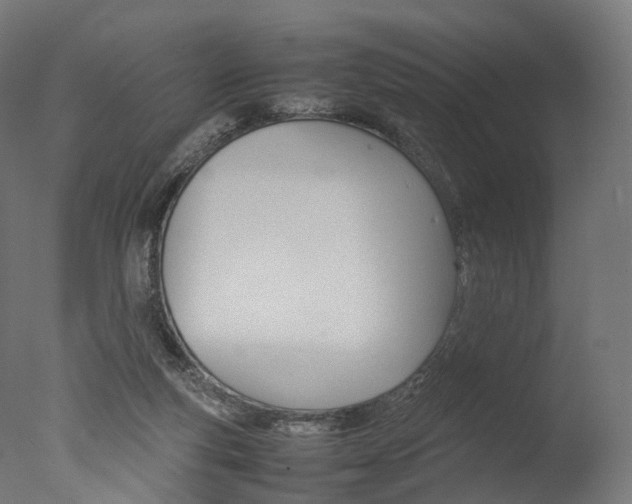 X0000077330163200610200924