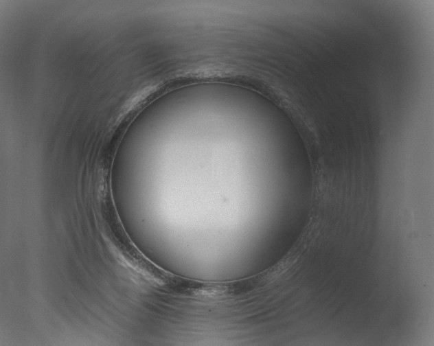 X0000077330164200610200924