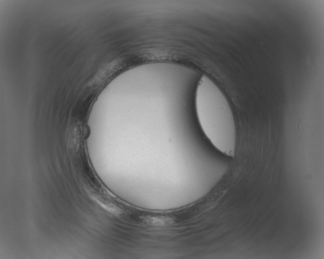X0000077330165200610200924