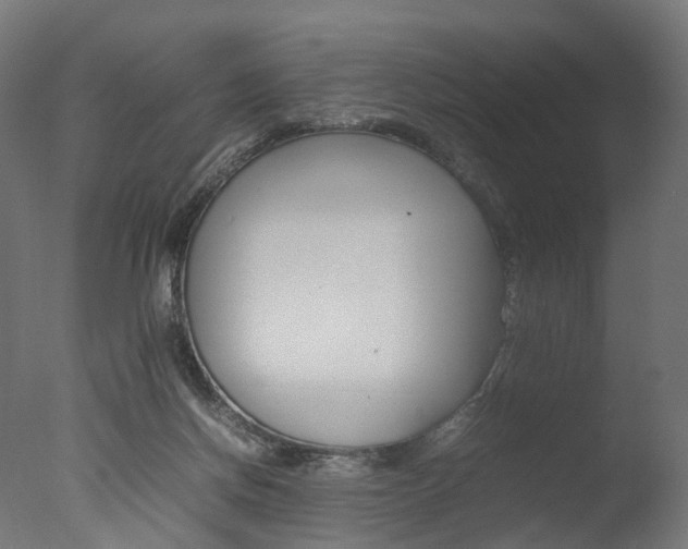 X0000077330166200610200924