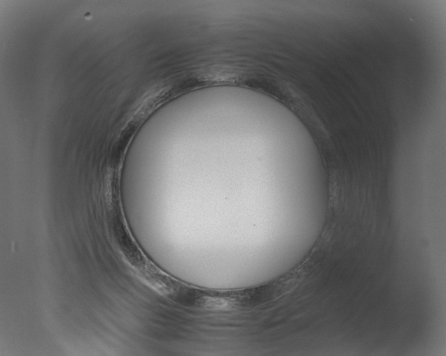 X0000077330167200610200924