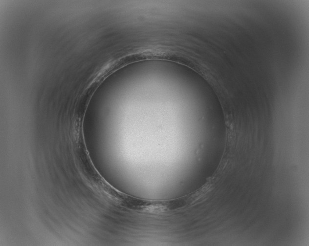 X0000077330168200610200924
