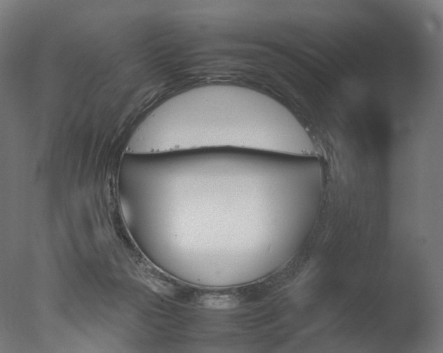 X0000077330169200610200924