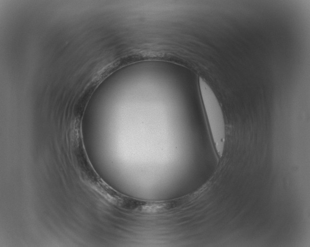 X0000077330172200610200924