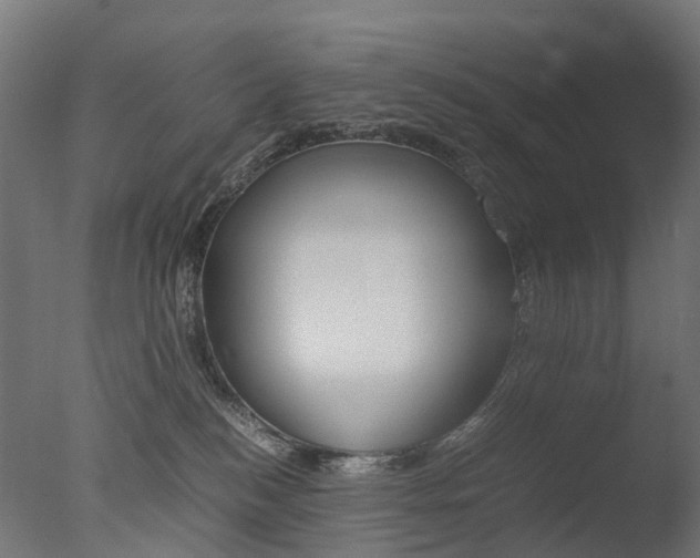 X0000077330184200610200924