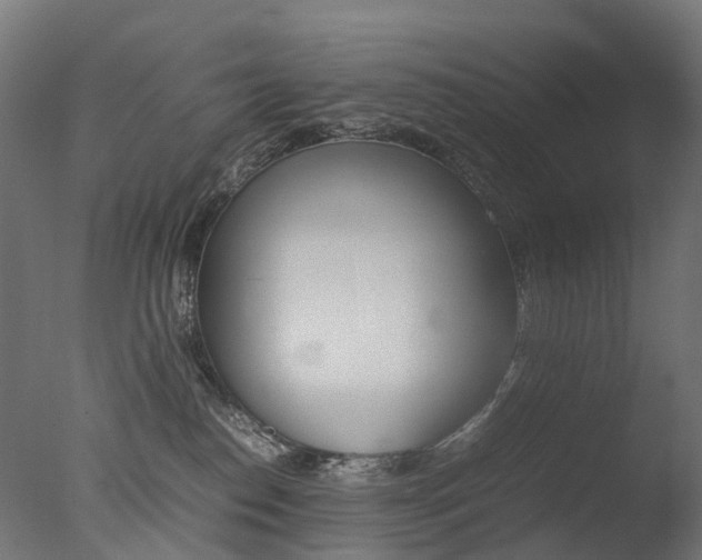 X0000077330186200610200924