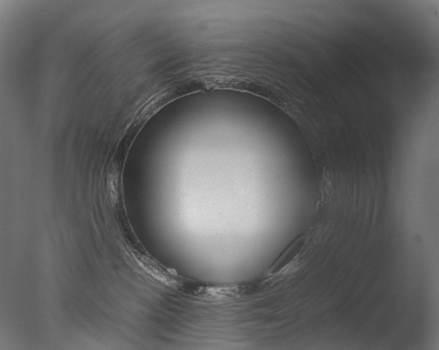 X0000077330188200610200924