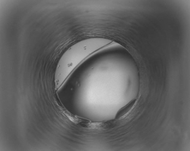 X0000077330192200610200924
