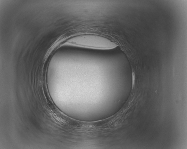 X0000077330195200610200923