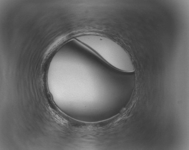 X0000077330197200610200923