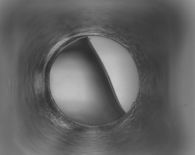 X0000077330200200610200923