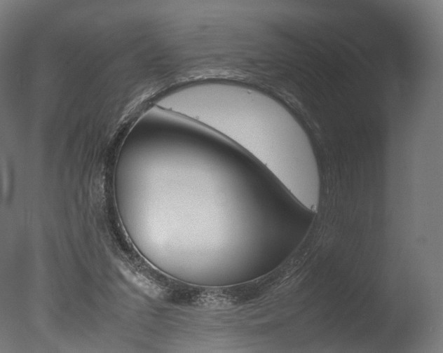 X0000077330207200610200923