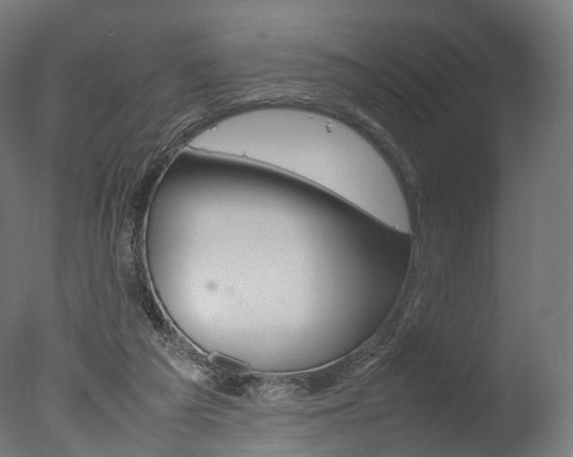 X0000077330209200610200923