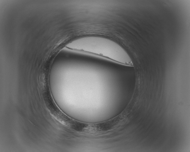 X0000077330211200610200923