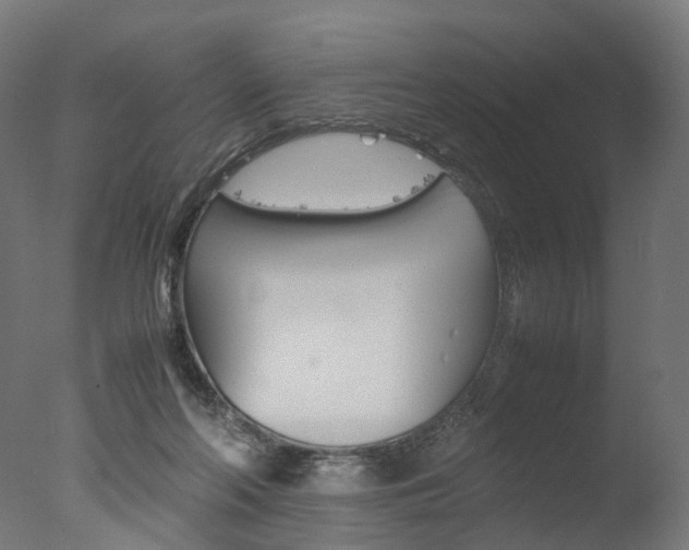 X0000077330214200610200923