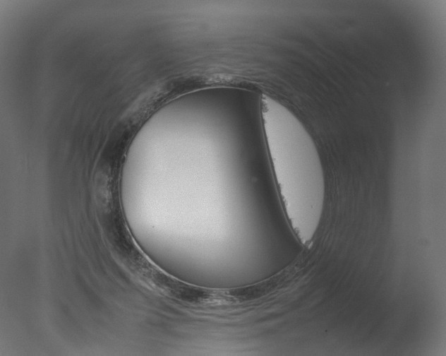 X0000077330215200610200923
