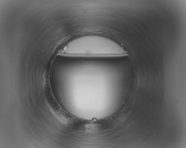 X0000077330216200610200923