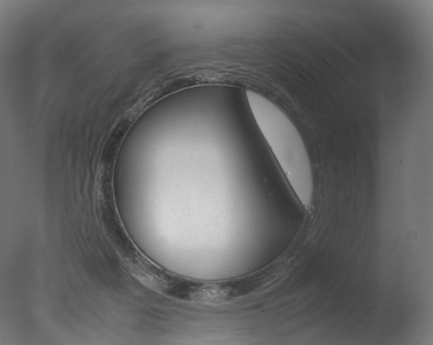 X0000077330217200610200923