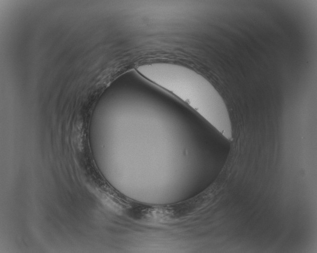 X0000077330223200610200923