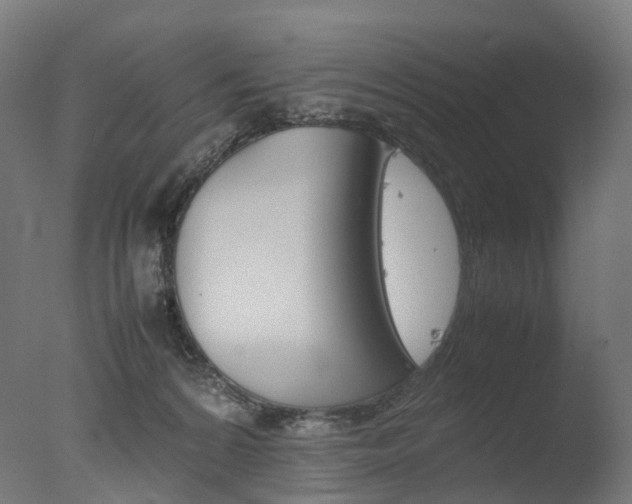 X0000077330224200610200923