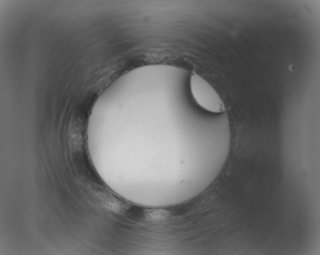 X0000077330226200610200923
