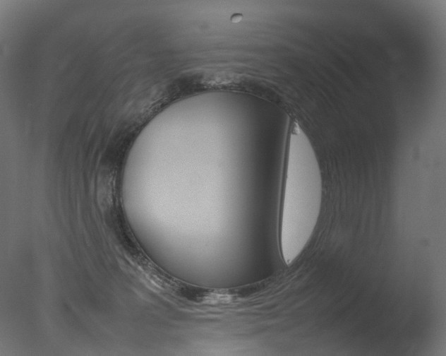 X0000077330227200610200923